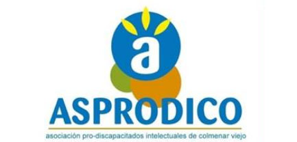 Asociación Pro Discapacitados Intelectuales de Colmenar Viejo (Asprodico)