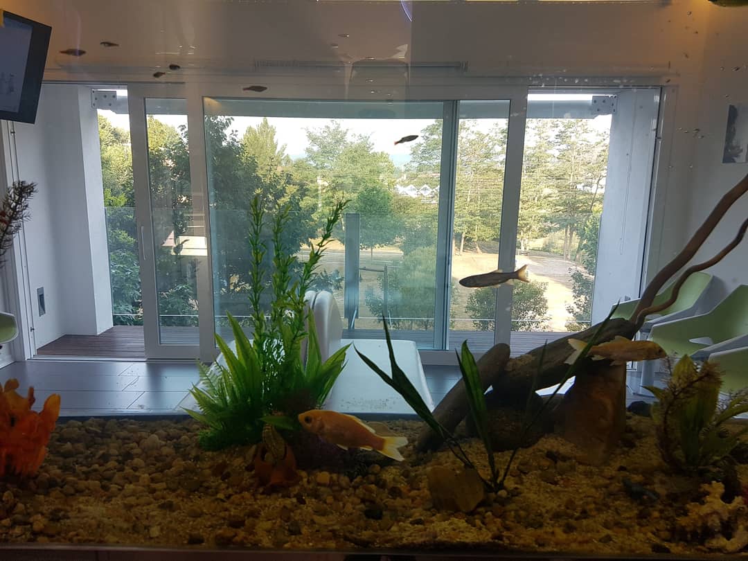 Instalaciones Alsana Ponteareas